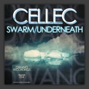 Swarm / Underneath