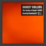 The Fusion Of Sound