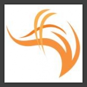 Tangerine / Spion