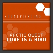 Love Is A Bird