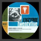 5 Years Of Enzyme Records
