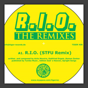 The Remixes