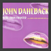 More Than I Wanted